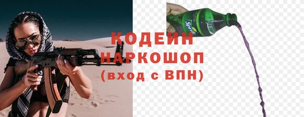 твердый Вяземский