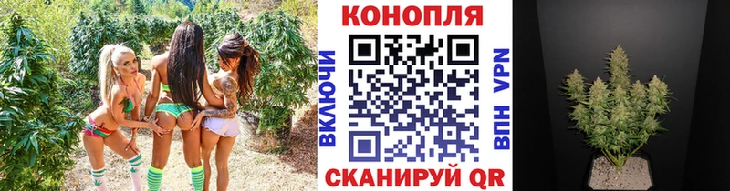 Купить закладки  Нытва  Каннабис Amnesia 